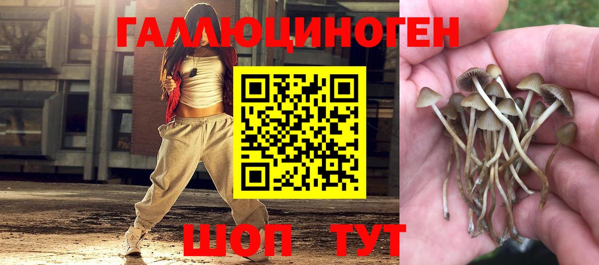 Псилоцибиновые грибы ЛСД  Вход с VPN  Прохладный 
