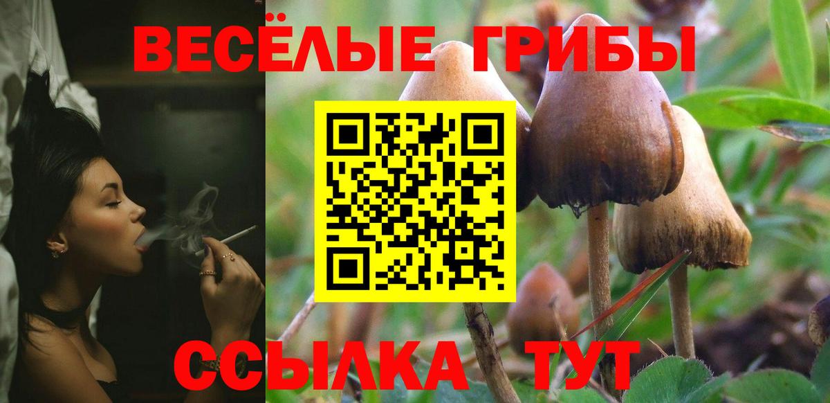 Псилоцибиновые грибы MAGIC MUSHROOMS Прохладный
